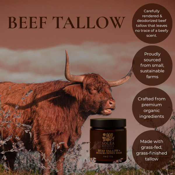 Soléa Botanica Beef Tallow + Manuka Honey Balm