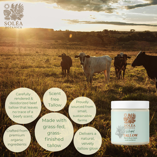 Soléa Botanica  Whipped Tallow Face & Body Cream