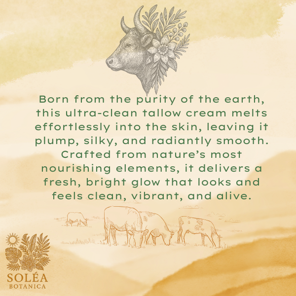 Soléa Botanica  Whipped Tallow Face & Body Cream